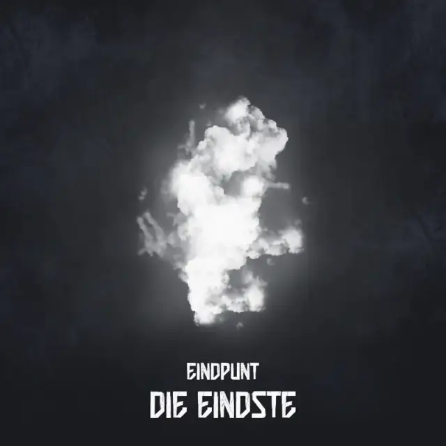 die eindste eindpunt album art new